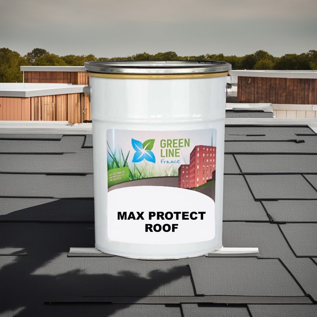 Max Protect Roof (Peint Toiture) Argile 5L