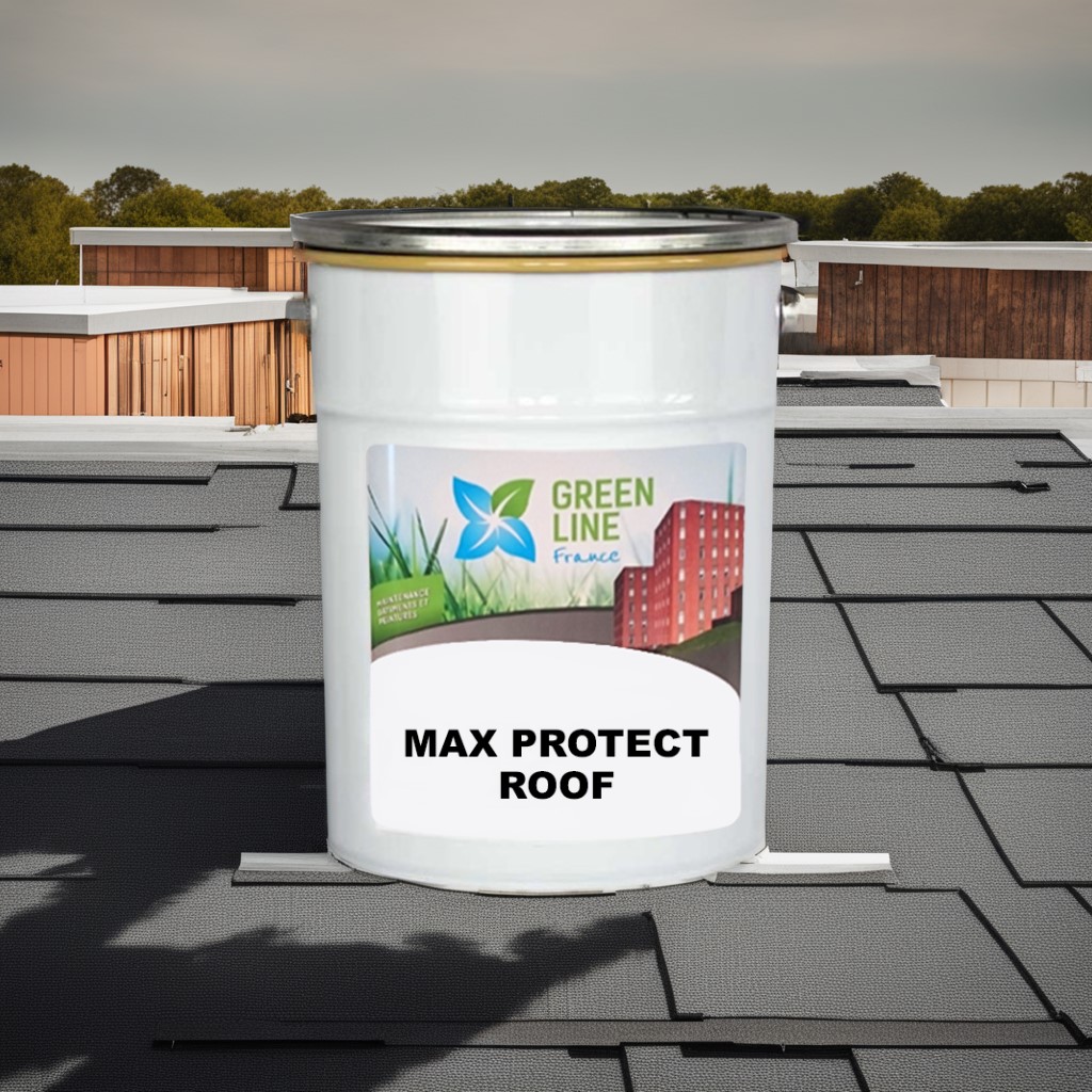 Max Protect Roof (Peint Toiture) Gris 5L